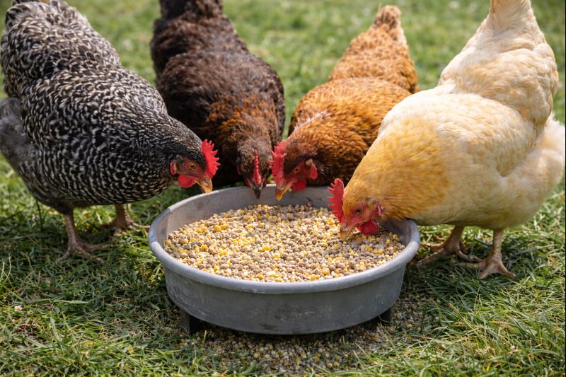 ChatGPT Image 6. 1. 2026, 23_29_26